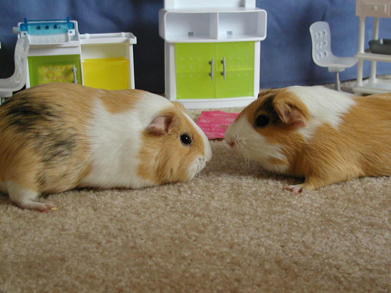 Clyde and Bonnie