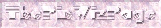 The PinWiz Page Logo