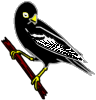 A bird