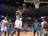 BULLS