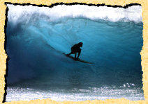 Back to Surf Home