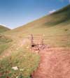 panarama trail