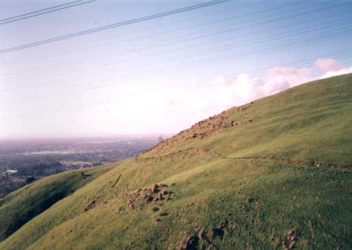 panarama