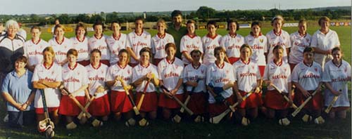 All Ireland Junior Camogie Panel