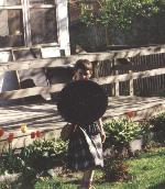 This is me being BraveHeart