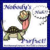 Nobodys Perfect! Webring