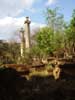  The ionic pillars, the pride of teh Cemetery