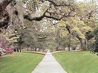 My Favorite Garden