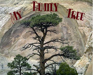 My Family Tree