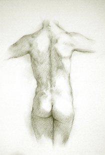 charcoal drawings on fine quality watercolour paper of the male nude, drawn from live models