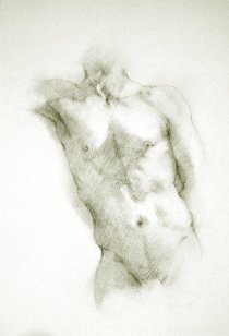 charcoal drawings on fine quality watercolour paper of the male nude, drawn from live models