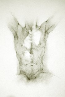 charcoal drawings on fine quality watercolour paper of the male nude, drawn from live models
