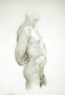 charcoal drawings on fine quality watercolour paper of the male nude, drawn from live models