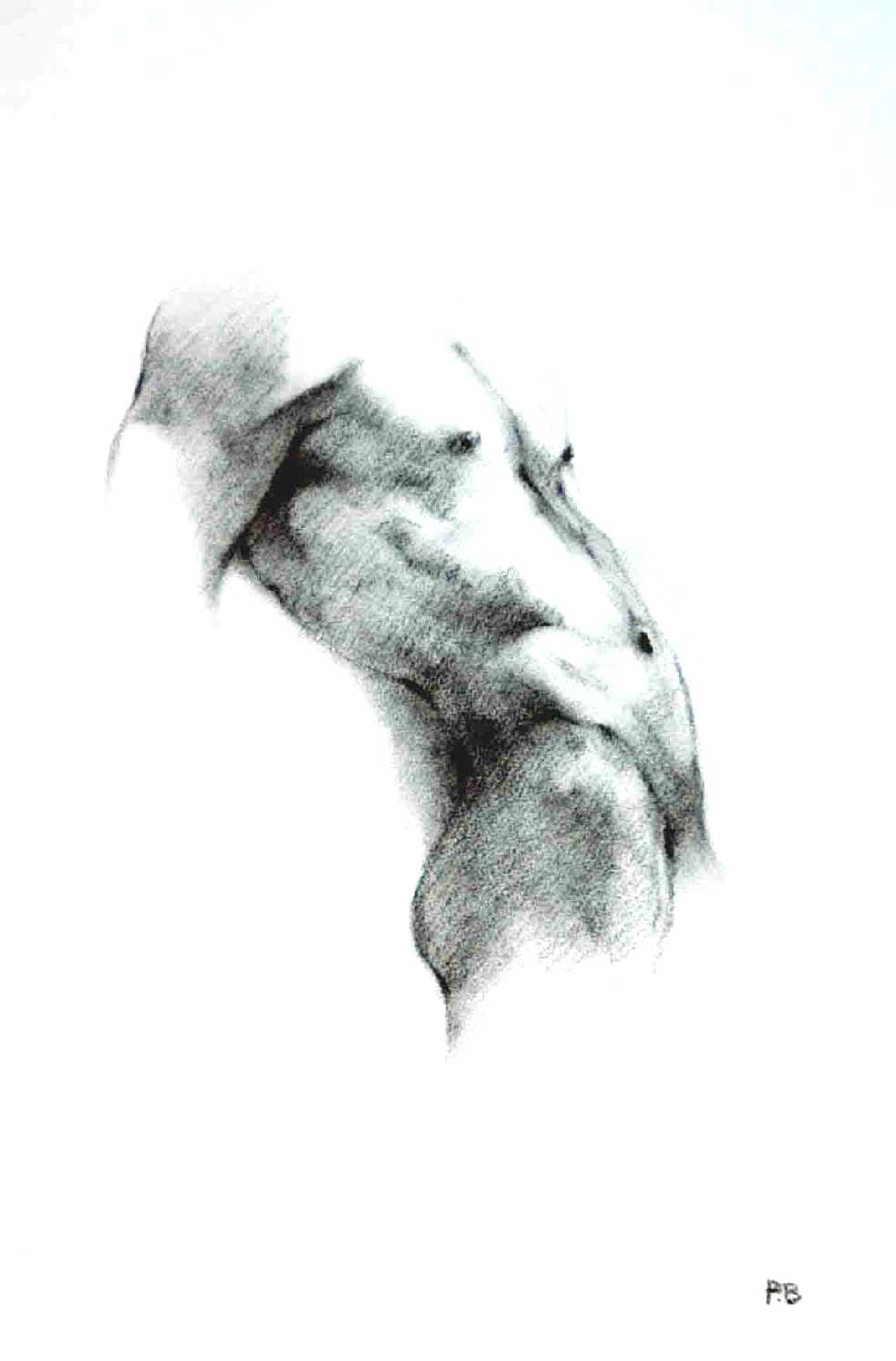 charcoal drawings on fine quality watercolour paper of the male nude, drawn from live models