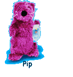 Pip