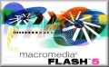 Flash 5.0
