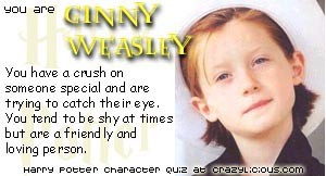 Harry Potter Character Quiz // Crazylicious.com/hpquiz