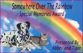 abbeyandtiger