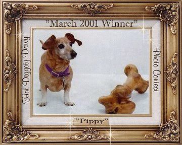 PIPPY contest award
