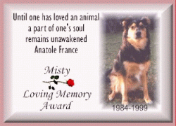 Misty's awards