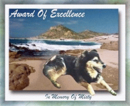 Misty's awards 2