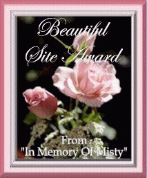 Misty's awards 3