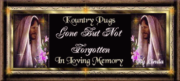 from the pugs