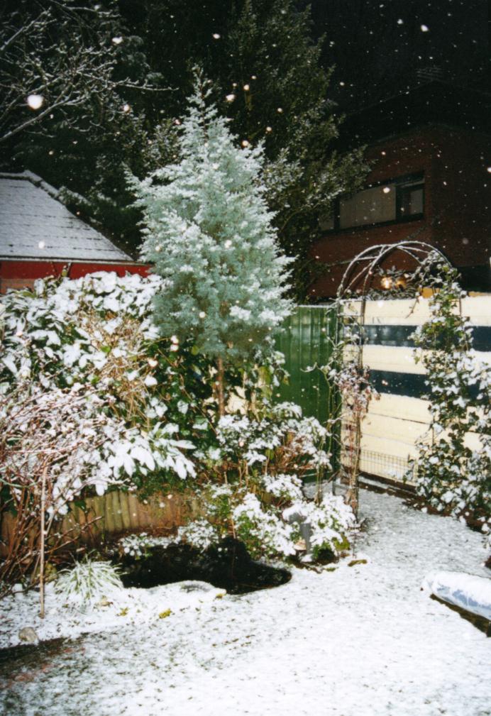 26 December 2001