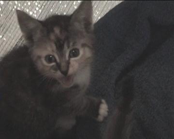 Little girl @ 4 weeks