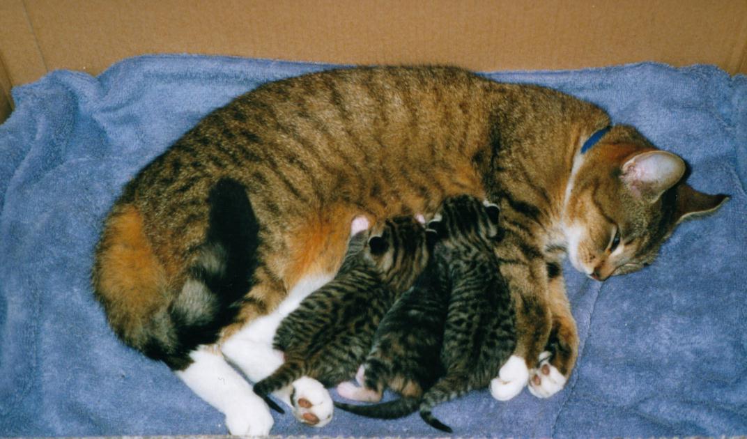17 June 2002
