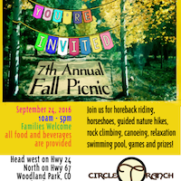 picnic poster