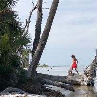 child exploring island photograph