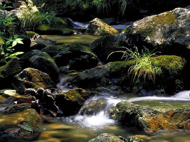 Rio da Mata