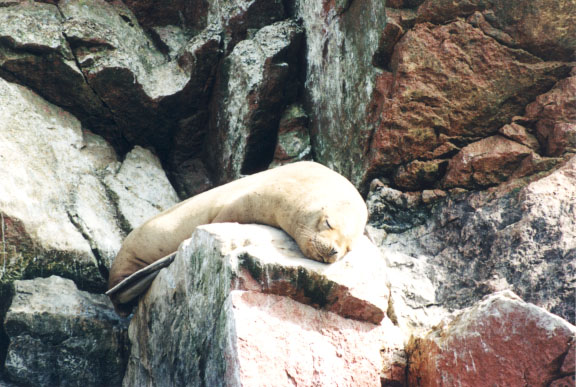 Las islas ballestas