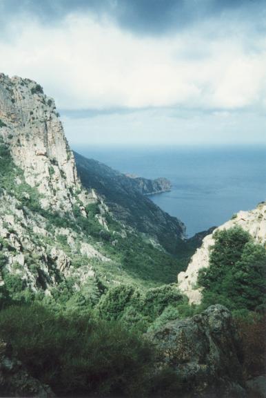 Particolare della costa ovest, dopo Calvi