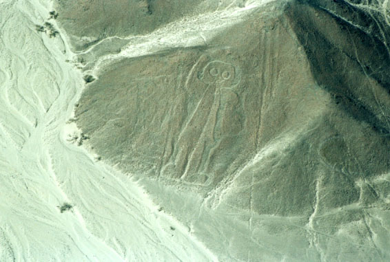 La scimmia nel deserto andino, a ridosso dell'Oceano Pacifico
