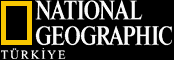 ngwebtr.gif (1818 bytes)