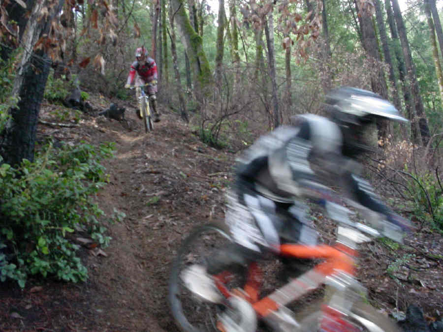 groms