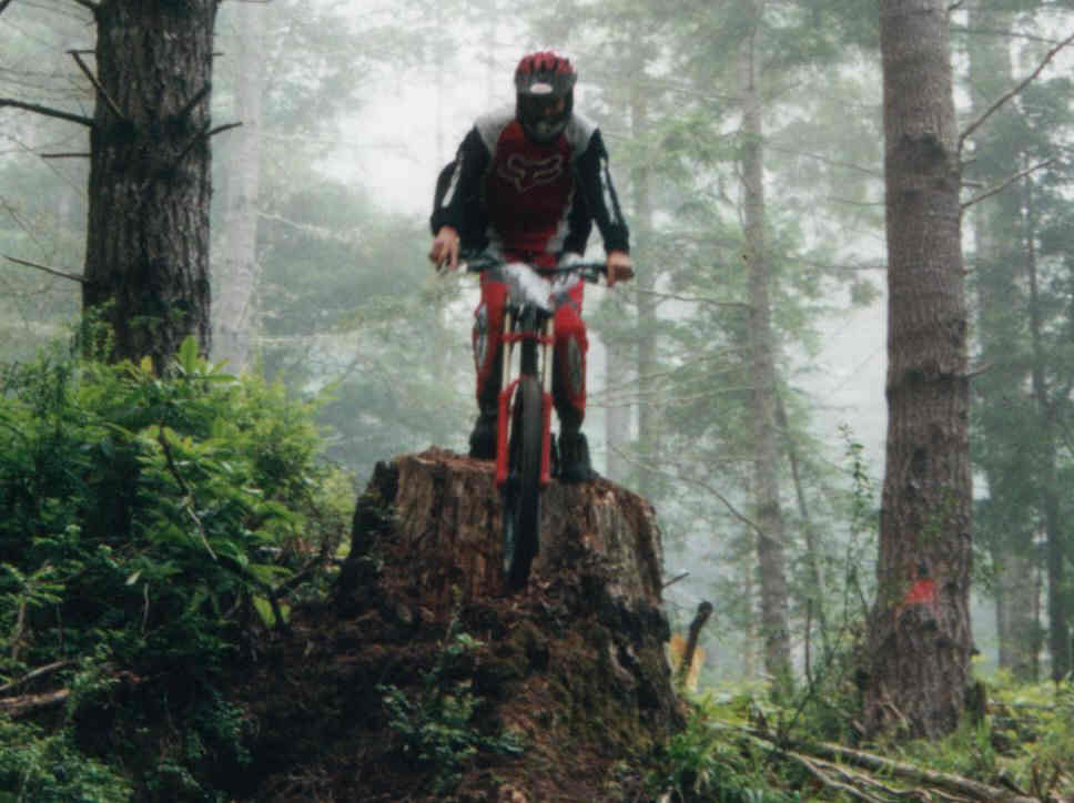 stump