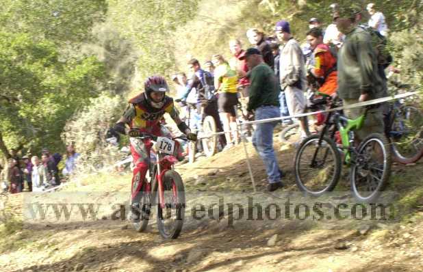 gregholl