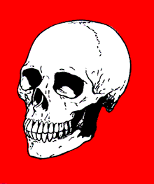skull