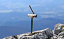 buzon.jpg (4769 bytes)