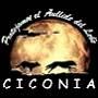 ciconia90.jpg (2720 bytes)