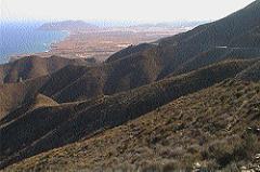 golf.jpg (9104 bytes)