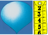 gota.gif (11349 bytes)