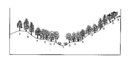 natbos4.jpg (12155 bytes)
