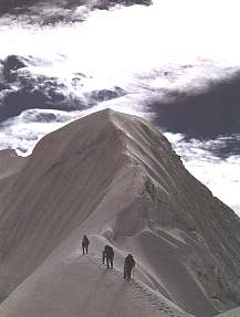 trek1.jpg (8069 bytes)