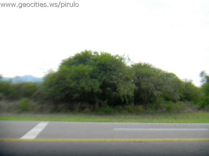 0029-geocities-ws-pirulo.jpg