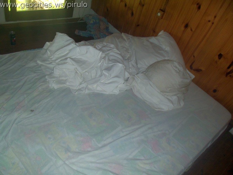 0335-geocities-ws-pirulo.jpg