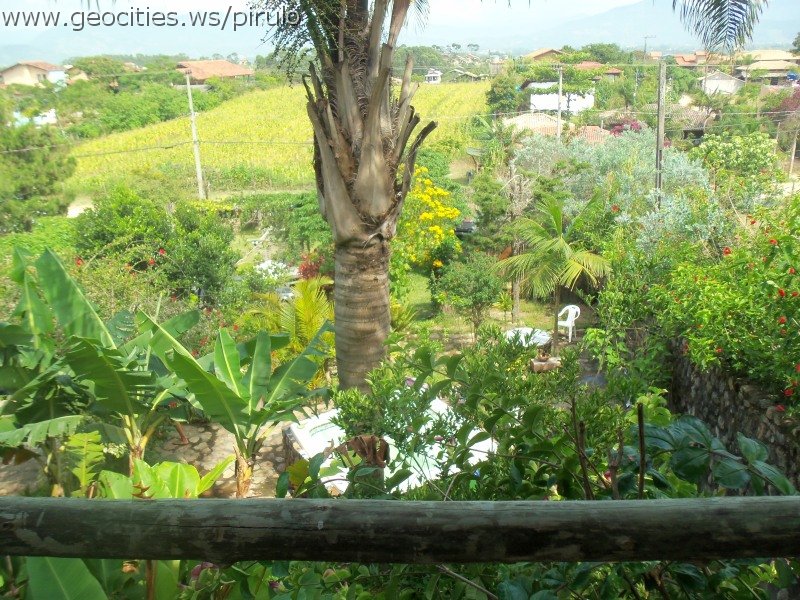 0346-geocities-ws-pirulo.jpg